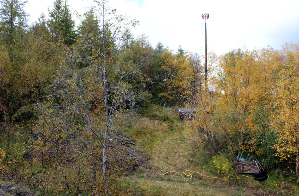 Vef 2009