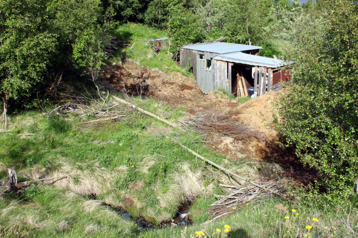 Vef 1732