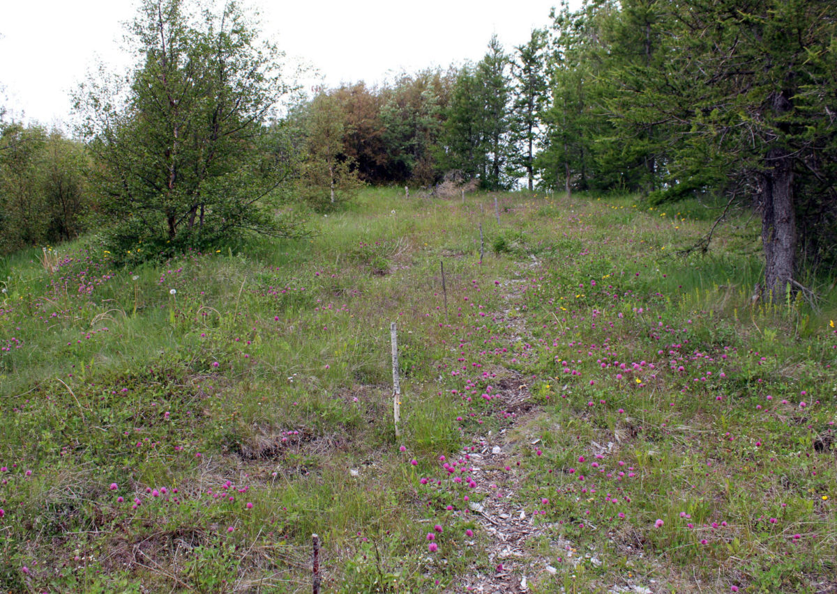 Vef 0909
