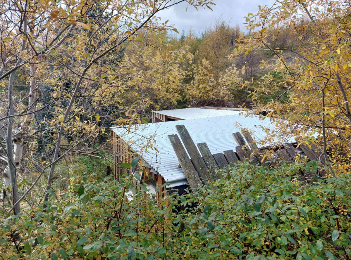 Vef 114908